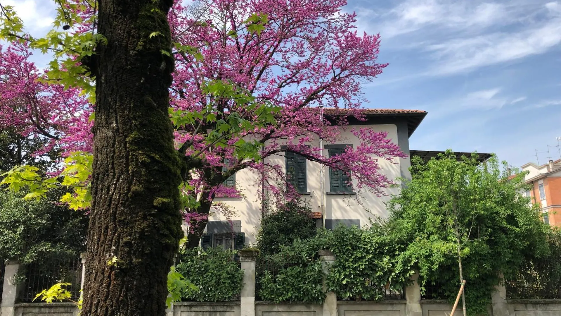 Appartamento Il Gelsomino Castelleone 0*,  Italy